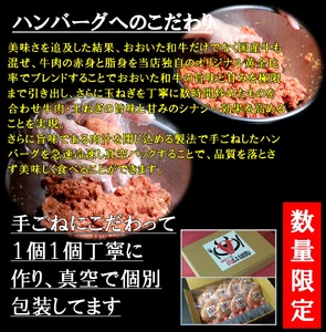 おおいた和牛入ハンバーグ8個_B172-008