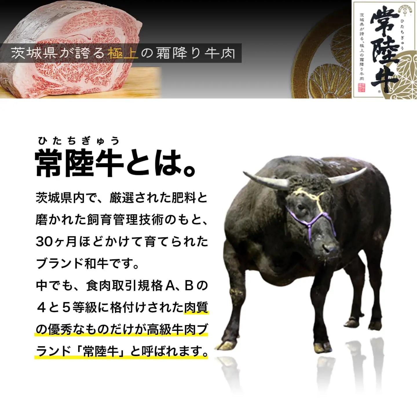 【茨城県共通返礼品】WO-29Butchers 常陸牛 リブロースステーキ 600g(300g×2枚) K2552