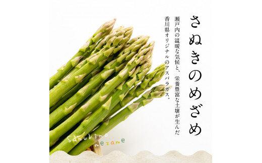 ご家庭用 さぬきのめざめセミロング30cm(細物・サイズ混合) 約700g【2026-3月上旬～2026-6月下旬配送】
