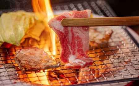 宮崎県産豚肩ロース焼肉 1.5kg　TF0549-P00043