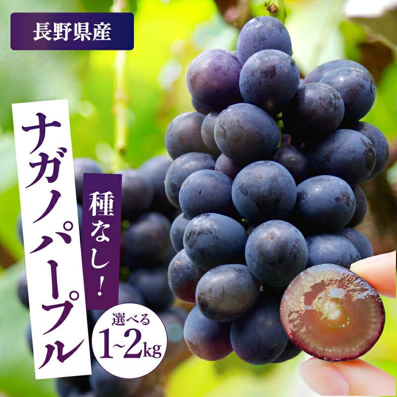 【ふるさと納税】【2026年予約販売】皮ごとOK! 長野県産・種なし ナガノパープル 秀品〈2026年8月下旬～10月上旬発送〉 | 果物 くだもの フルーツ ぶどう ブドウ 葡萄 ナガノパープル 種なし 長野県 信州 南信州 飯田市