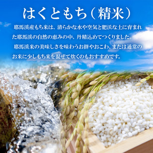 耶馬渓産もち米 5kg | お米 米 精米 おこめ こめ もち米 はくともち 餅 お餅 国産米 5キロ 大分県産 九州産 大分県 中津市 