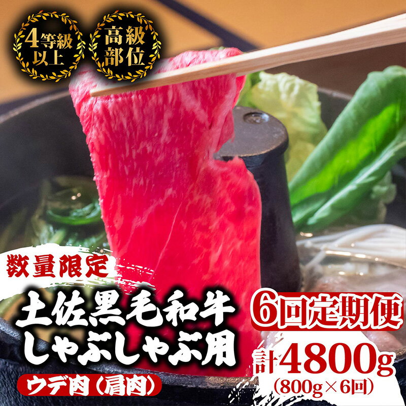 【ふるさと納税】 【定期便6回】土佐黒毛和牛ウデ肉しゃぶしゃぶ用 計4.8kg（800g×6ヶ月連続お届け) 3Aコース | 特撰 ウデ肉 肩肉 最上位等級 A4 A5 最高ランク 贅沢 しゃぶしゃぶ　鍋 スライス 焼肉用 小分け 冷凍 国産 牛肉 高知県 須崎 TM55000