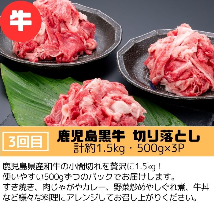 【E90001】＜定期便・全3回＞肝付町セレクト定期便《肉だらけ定期便A》_イメージ5
