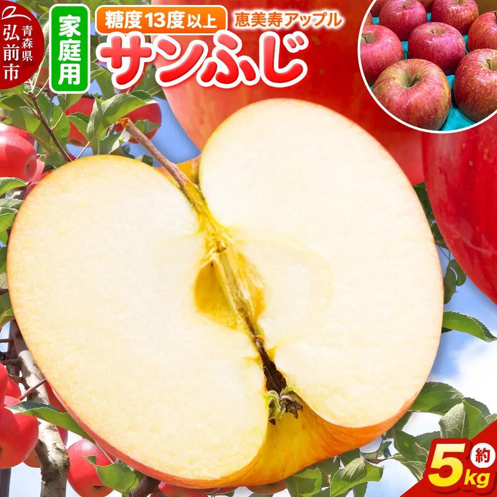 りんご  サンふじ 約5kg【家庭用】 りんご