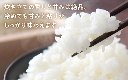 新米農家のこしひかり 10kg お米 おこめ 米 コメ ごはん コシヒカリ ご飯 ブランド米 精米 令和7年 6か月 令和6年産 売り切れ 米 備蓄米 よりおいしい 愛知県 田原市 渥美半島 人気 先