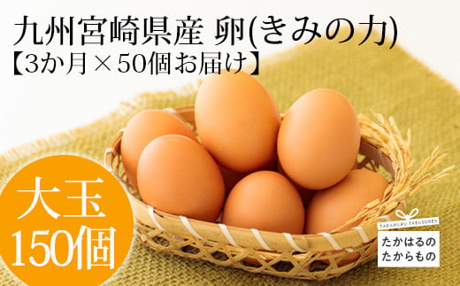 『たまごの定期便』年3回(計150個) 宮崎県産 卵 きみの力(チカラ) Lサイズの大玉 産地直送の玉子 産直　 TF0416