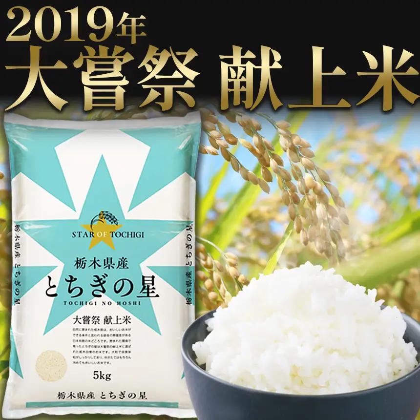 【先行予約】【定期便3回】 ＼無洗米／ 真岡市産とちぎの星 10kg