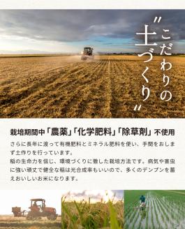 SA1808　令和5年産【玄米】つや姫マイスターが作った　農薬・化学肥料・除草剤不使用『つや姫』5kg MA