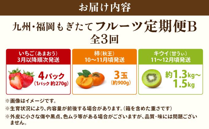 ＜定期便・全3回＞九州・福岡もぎたて フルーツ定期便 B|果物 旬 国産 産地直送 いちご イチゴ 苺 あまおう かき カキ 秋王 キウイキウイ キウイフルーツ キウィフルーツ 甘うぃ 送料無料 那珂