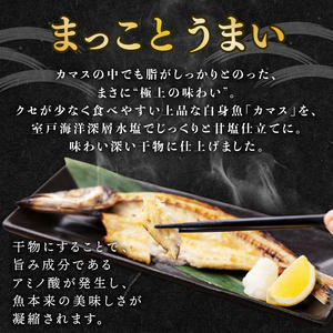 【室戸 干物】 トロ カマス 10枚 海洋深層水仕込み 国産 ひもの 冷凍 配送 ギフト お歳暮に