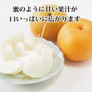 八幡浜の梨、果汁たっぷり!!「豊水」4キロ【C39-37】【配送不可地域：離島】【1316567】