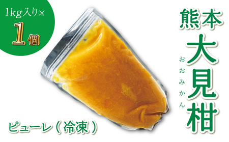 熊本大見柑ピューレ 冷凍 1kg