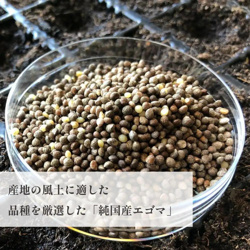 タネから開発した国産エゴマ油47g×4本　毎日のオメガ3脂肪酸摂取に