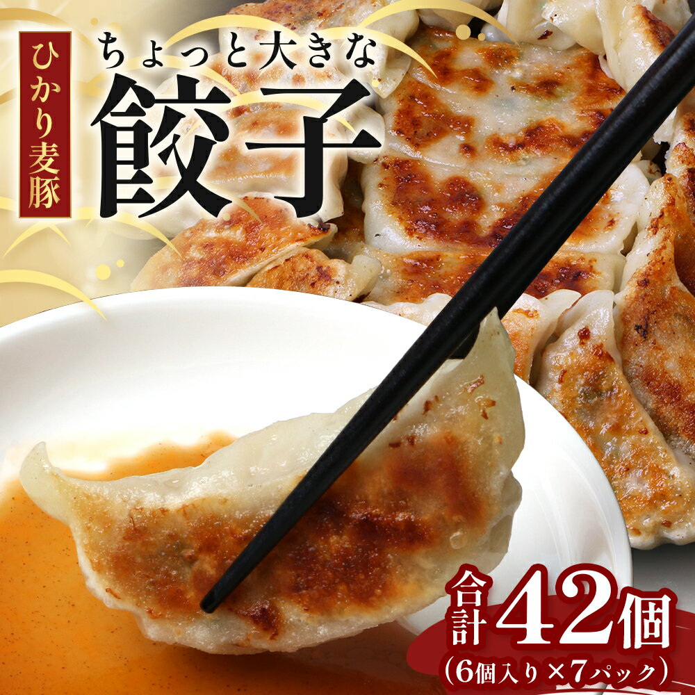 【ふるさと納税】ひかり麦豚　ちょっと大きな 餃子 42個 セット