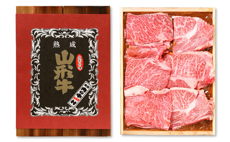 肉の中村特製 山形県産 牛肉 豚肉 3種食べ比べセットA 500g(山形牛リブロース特製赤味噌漬け 300g 山形豚の角煮 100g 山形豚チャーシュー100g) 保存料・着色料不使用 冷凍  家庭用