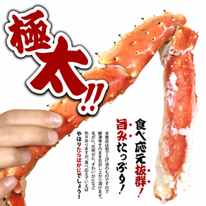 特大 ボイルたらば蟹脚 5Lサイズ(冷凍総重量1.0kg×1肩) 北海道 タラバガニ
