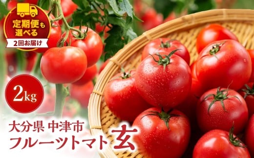 【定期便2回】フルーツトマト「玄」2kg | ミニトマト ぷちとまと プチトマト フルティカ ミディトマト 国産 野菜 やさい 定期 定期便 大分県 中津市
