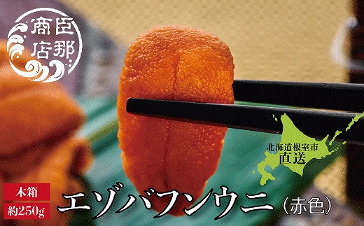 F-22001 エゾバフンウニ(赤色)約250g×1折