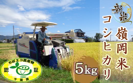 【令和7年産】嶺南ファームの嶺岡米「コシヒカリ」5kg　[0017-0025]