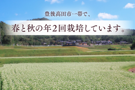 0B3-77 そばだんご（220g×2袋）