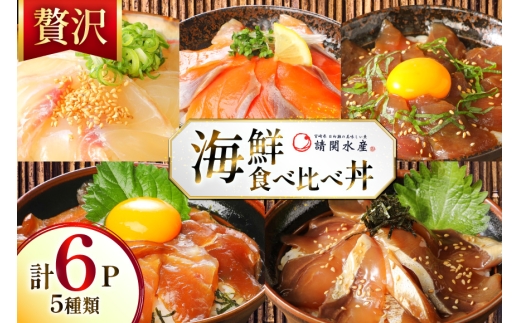 海鮮丼 漬丼 全5種 6食 セット [請関水産 宮崎県 日向市 452061674]  ブリ マダイ マグロ サーモン カツオ 海鮮丼の具 海鮮丼セット 食べ比べ 冷凍 漬け丼 簡単 個包装 時短 お茶碗盛り