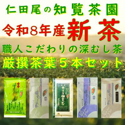 ふるさと納税 南九州市 【令和8年産 新茶予約 自宅用】知覧茶園深むし茶 厳撰茶葉5本セット