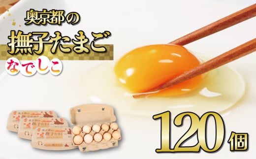 奥京都の撫子たまご 120個入(110個＋割れ保証10個) 三和鶏園 MS～LLサイズ / FCDZ003