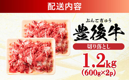 【大容量パック！】 おおいた豊後牛 牛肉 切り落とし 1.2kg (600g×2) 豊後牛 牛肉 切り落とし 大分 冷凍 [AREI004]