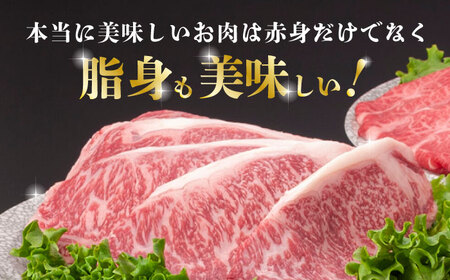 【3回定期便】熊本県産 黒毛和牛 ロース 食べ比べ セット（ステーキ ロース スライス） 約800g 【有限会社 九州食肉産業】 ロース ステーキ A4 A5 国産 黒毛和牛 九州産 熊本県産  黒毛