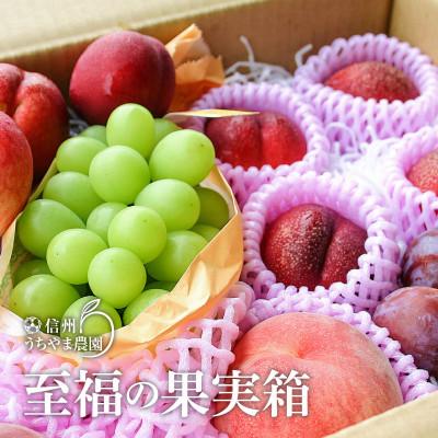 ふるさと納税 長野県 信州うちやま農園のフルーツ詰め合わせ【夏に届く】至福の果実箱C(3〜5種類)シャインマスカット入り