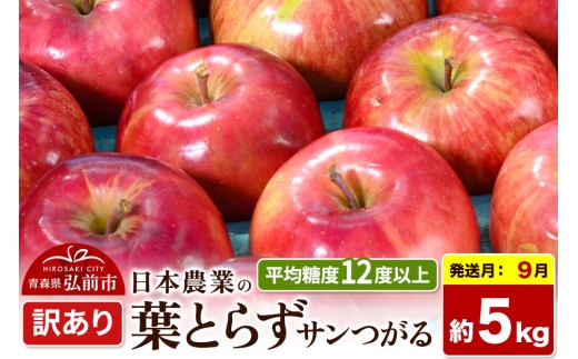 【26年9月クール便発送】りんご 葉とらずサンつがる【訳あり】約5kg 平均糖度12度以上 青森県産 果物 フルーツ 林檎 リンゴ くだもの 不揃い 規格外 [家庭用 産地直送 アップル 青森県 弘前市]