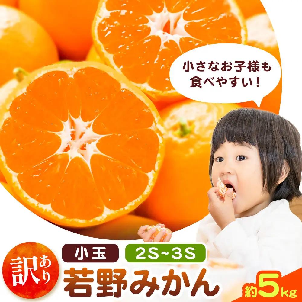 訳あり 小玉若野みかん (2S-3Sサイズ)  約5kg マルエイ農園 みかん