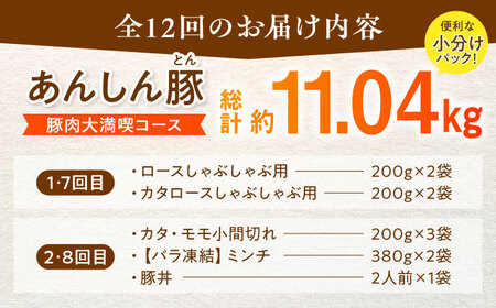 【12回定期便】豚肉大満喫コース 計11.04kg 白川町 / 藤井ファーム[AWAF074]