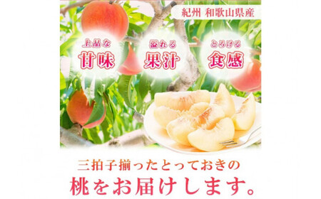もも 和歌山の 桃 15玉【uot780A】