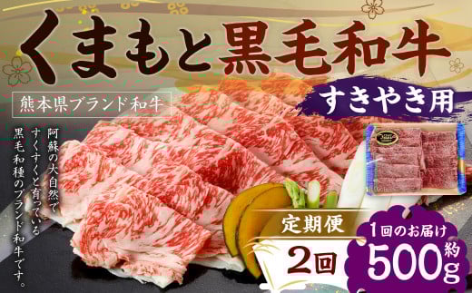 【定期便2回】 くまもと黒毛和牛 すきやき用 500g×1P