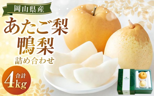 あたご梨 2～3玉・鴨梨（ヤーリー）3～6玉 詰合せ 合計約4kg 化粧箱 梨 ナシ なし 愛宕梨 あたごなし ジャンボ梨 【2025年11月下旬～12月下旬発送予定】