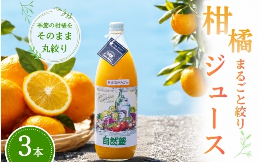 
                  自然塾 柑橘100%まるごと絞りジュース 3本入り 季節の柑橘 みかんジュース ストレートジュース 無添加 オレンジジュース 果汁100％ みかん 温州みかん ポンカン 不知火 柑橘 ドリンク 飲み物 国産 ギフト 熊野【szjk0008】
                