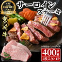 【ふるさと納税】宮崎牛 サーロインステーキ(計400g・2枚) BBQ 牛肉 肉 ブランド牛 ステーキ 冷凍 国産 精肉 お取り寄せ 黒毛和牛 宮崎県 【LJ015】【レグセントジョイラー株式会社】