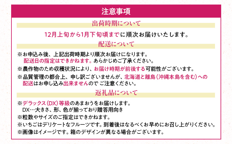 福岡産【冬】あまおうDX（デラックス）2パック いちご 苺 果物 フルーツ 九州産 福岡県産 冷蔵 送料無料 【12月上旬発送開始予定】 イチゴ フルーツ 果物 くだもの ブランド 国産 甘味 果汁
