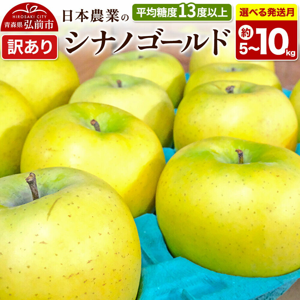 【ふるさと納税】りんご【選べる 26年11月〜27年3月 発送】シナノゴールド【訳あり】【選べる約 5kg／10kg】平均糖度13度以上 クール便 青森県 弘前市 果物 フルーツ 林檎 リンゴ くだもの 不揃い 規格外 [先行受付 家庭用 産地直送]