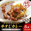 【ふるさと納税】【6回定期便】ゴロッ!と入ったコラーゲン博多和牛　牛すじカレー5食セット【001-0388】