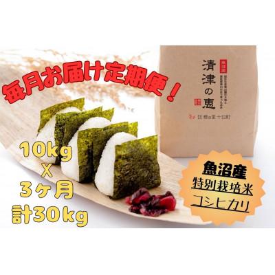 ふるさと納税 十日町市 【毎月定期便】[通年受付]魚沼産特別栽培米コシヒカリ〈清津の恵〉精米 10kg(5kg×2袋)全3回