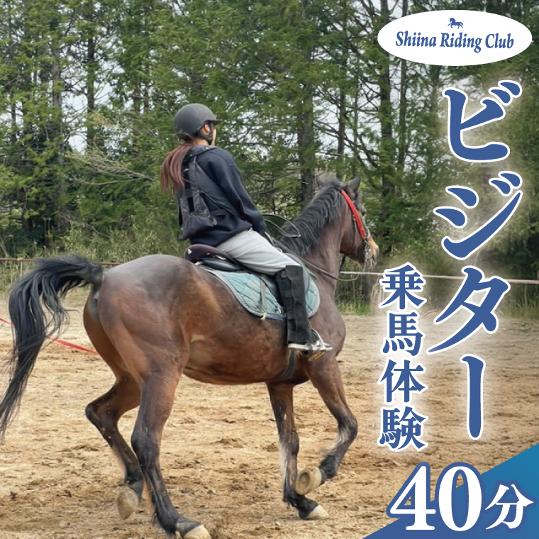 Shiina Riding Club　ビジター乗馬体験40分【茨城県 北茨城市 アクティビティ おでかけ レンタル 体験 チケット 馬】（DA003）