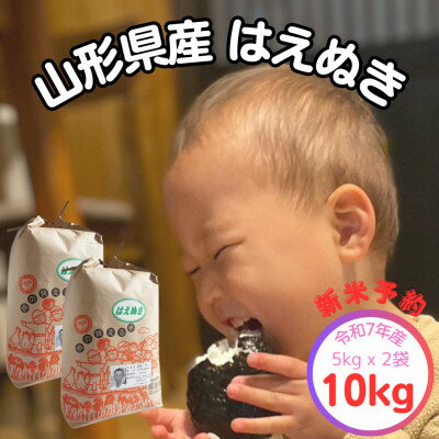 【ふるさと納税】新米予約【生産者の顔が見える米】令和7年飯豊町産 はえぬき 精米10kg【白米】【1623745】