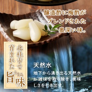 食べきりサイズ 色白美人らっきょう 国産無添加 80g×6袋　ラッキョウ 食べきりサイズ 480g おつまみ ご飯のおとも お酒のお供 野菜 旬 漬物 つけもの お漬物 常温保存 山梨県 北杜市 [h