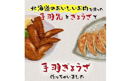 北海道産鶏肉を使った手羽先餃子【北の手羽ぎょうざ】20個セット(5個×4袋)≪配送地域限定≫【53002】