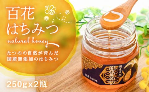 H-73　【国産無添加】たつのの自然が育んだ天然「百花はちみつ」250g×2瓶