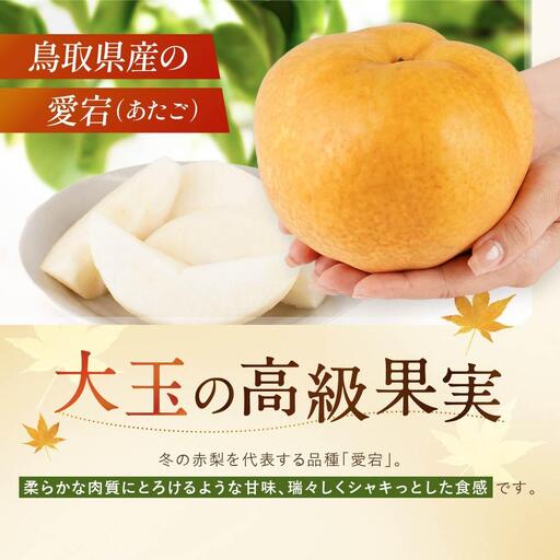 数量限定 鳥取県産梨 愛宕（あたご） 5kg（5～6玉）