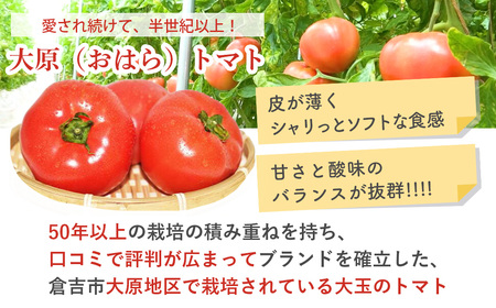大原トマト 4kg【倉吉産】 トマト 野菜 サラダ